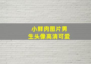 小鲜肉图片男生头像高清可爱