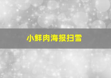 小鲜肉海报扫雪