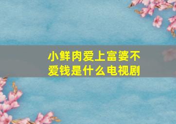 小鲜肉爱上富婆不爱钱是什么电视剧