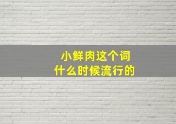 小鲜肉这个词什么时候流行的