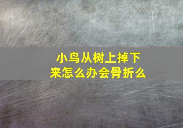 小鸟从树上掉下来怎么办会骨折么