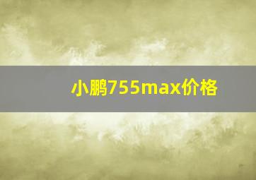 小鹏755max价格