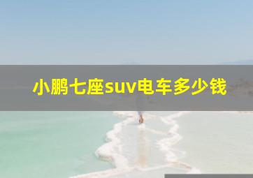 小鹏七座suv电车多少钱