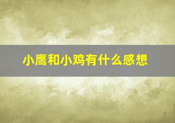 小鹰和小鸡有什么感想