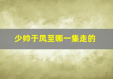 少帅于凤至哪一集走的