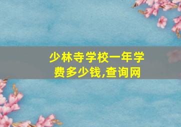 少林寺学校一年学费多少钱,查询网