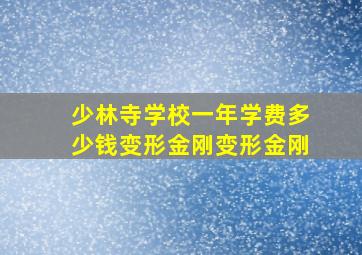 少林寺学校一年学费多少钱变形金刚变形金刚