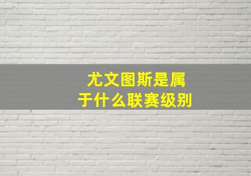 尤文图斯是属于什么联赛级别