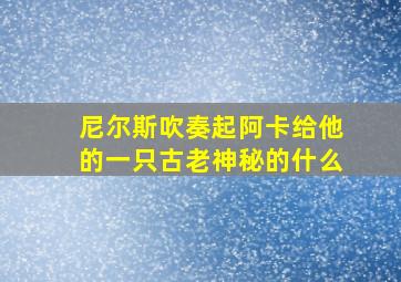 尼尔斯吹奏起阿卡给他的一只古老神秘的什么