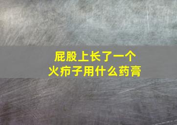 屁股上长了一个火疖子用什么药膏