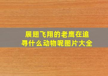 展翅飞翔的老鹰在追寻什么动物呢图片大全