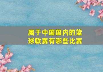 属于中国国内的篮球联赛有哪些比赛