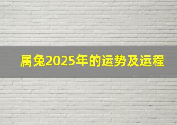 属兔2025年的运势及运程