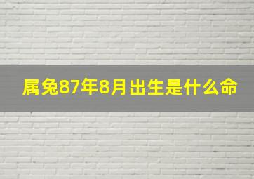 属兔87年8月出生是什么命