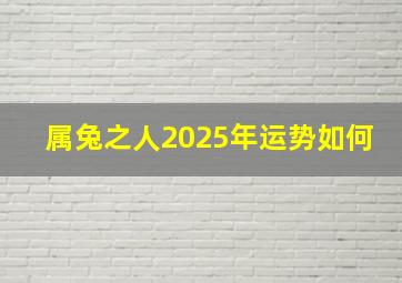 属兔之人2025年运势如何