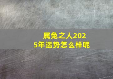 属兔之人2025年运势怎么样呢