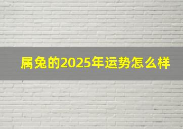 属兔的2025年运势怎么样