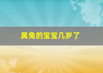 属兔的宝宝几岁了