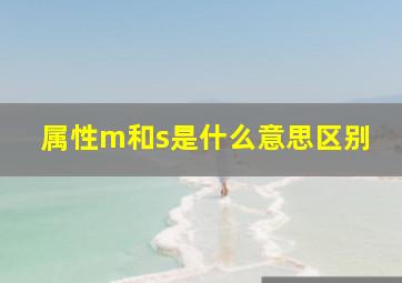 属性m和s是什么意思区别