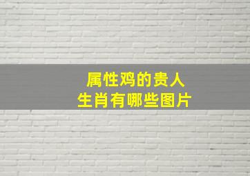 属性鸡的贵人生肖有哪些图片