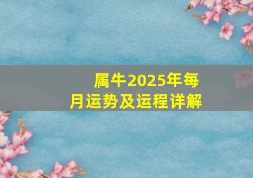 属牛2025年每月运势及运程详解