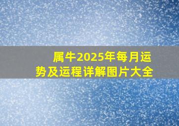 属牛2025年每月运势及运程详解图片大全