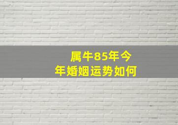 属牛85年今年婚姻运势如何