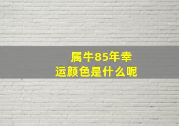 属牛85年幸运颜色是什么呢