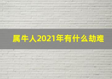 属牛人2021年有什么劫难