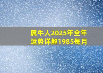 属牛人2025年全年运势详解1985每月