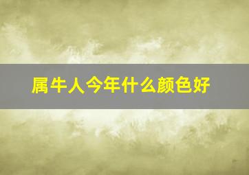 属牛人今年什么颜色好