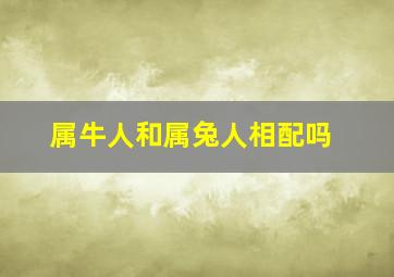 属牛人和属兔人相配吗