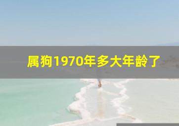 属狗1970年多大年龄了