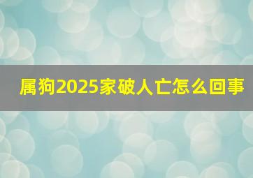 属狗2025家破人亡怎么回事