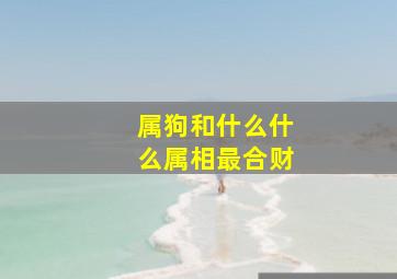 属狗和什么什么属相最合财