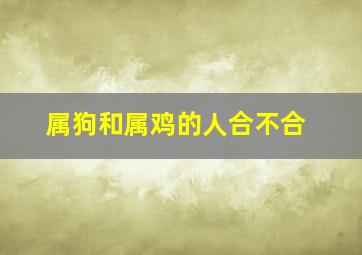 属狗和属鸡的人合不合