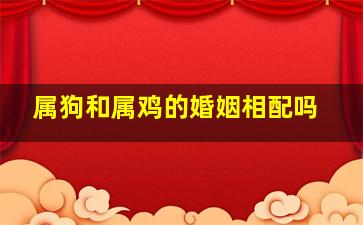 属狗和属鸡的婚姻相配吗