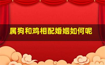 属狗和鸡相配婚姻如何呢