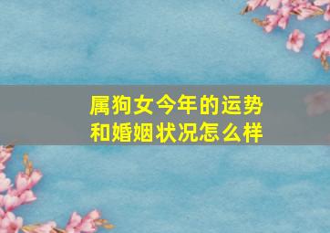 属狗女今年的运势和婚姻状况怎么样