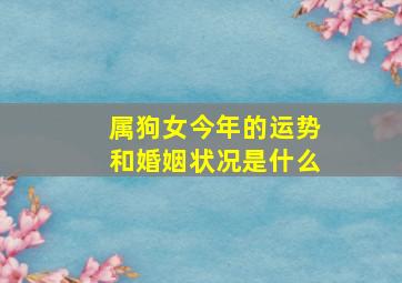 属狗女今年的运势和婚姻状况是什么