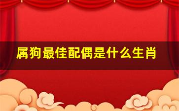 属狗最佳配偶是什么生肖