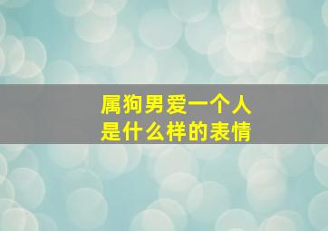 属狗男爱一个人是什么样的表情