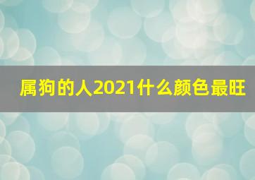 属狗的人2021什么颜色最旺