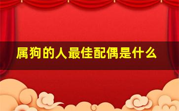 属狗的人最佳配偶是什么