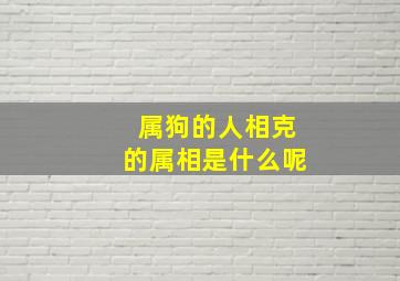 属狗的人相克的属相是什么呢