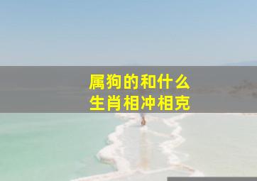 属狗的和什么生肖相冲相克