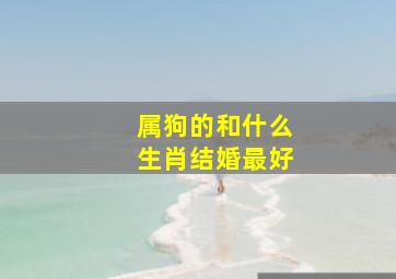 属狗的和什么生肖结婚最好