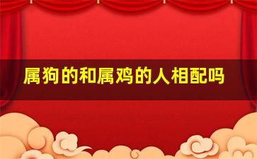 属狗的和属鸡的人相配吗