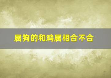 属狗的和鸡属相合不合