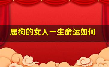 属狗的女人一生命运如何